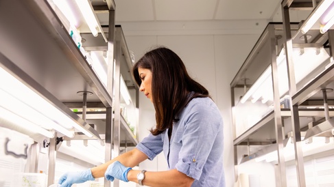 Student working in a laboratory