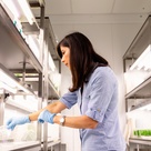 Student working in a laboratory