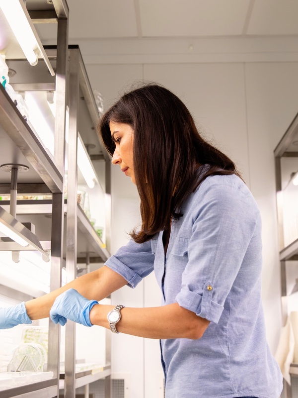 Student working in a laboratory
