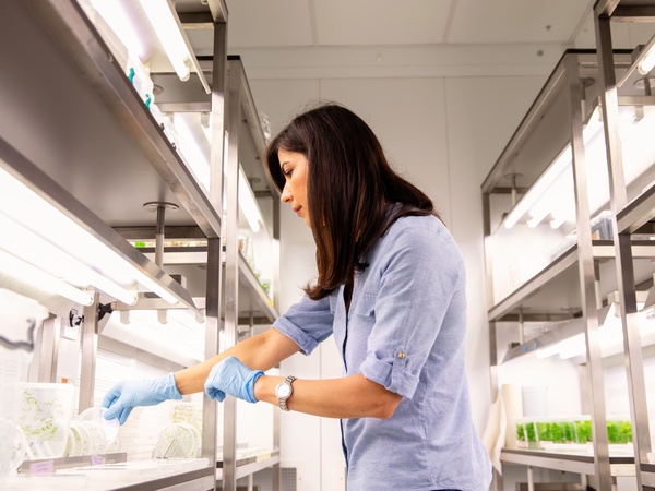 Student working in a laboratory
