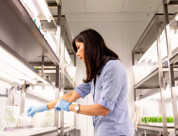 Student working in a laboratory